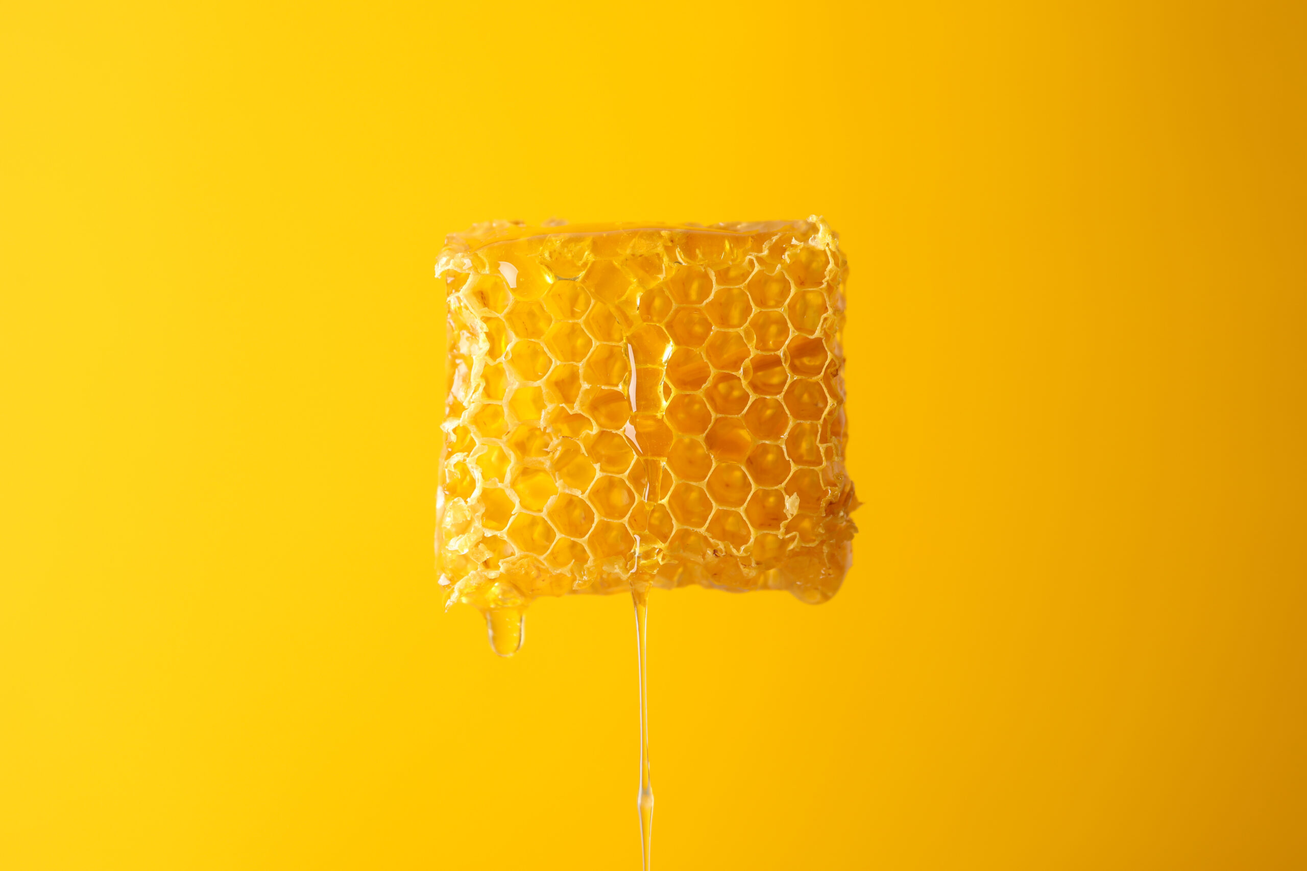 Mleczko pszczele - jesienny booster