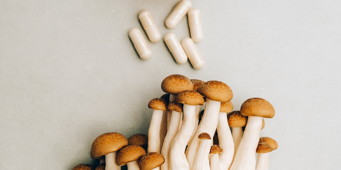 Adaptogeny – naturalne substancje wspierające odporność na stres, koncentrację i równowagę psychiczną